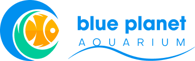 Blue Planet Aquarium