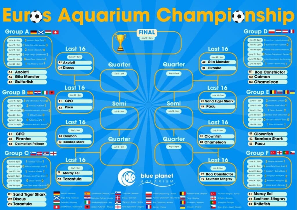 Euro 2024 Aquarium Championship