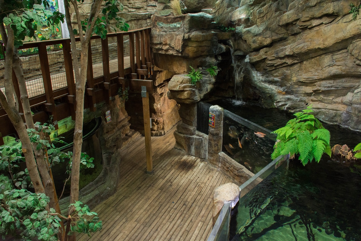 Northern Streams Exhibit alternate angle