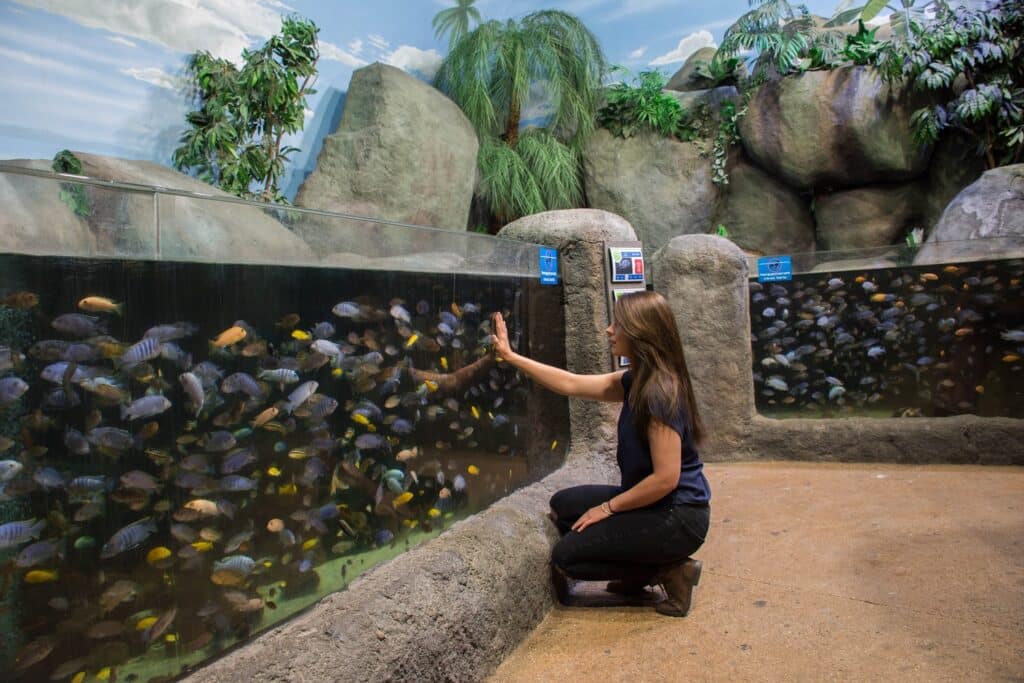 The Great Oceans Getaway: Summer at Blue Planet Aquarium