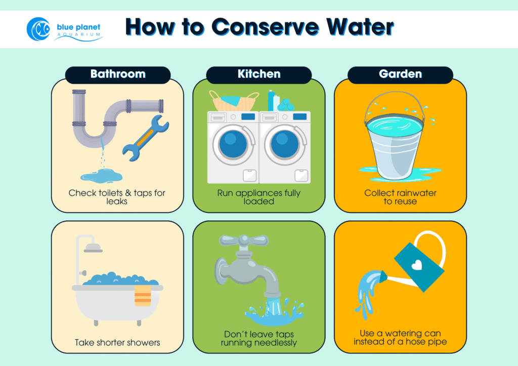 Tips for conserving water in the home and garden