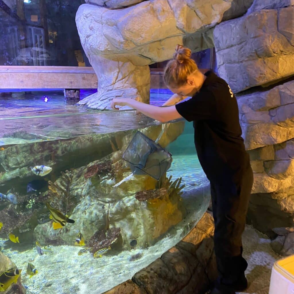 A Day in the Life of Our Aquarist Team