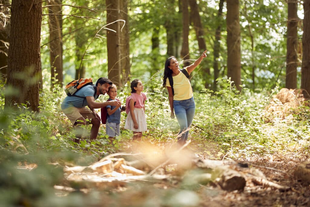 Family With Backpacks Hiking Or Walking Through Woodland Countryside