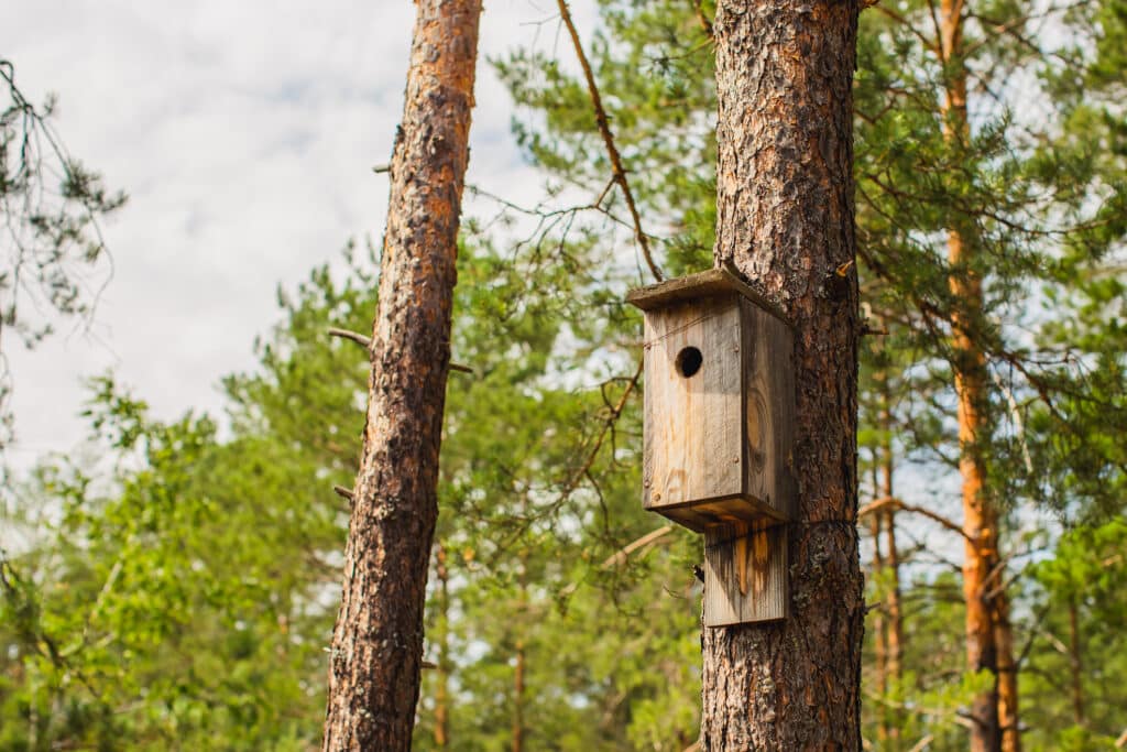 Birdhouse