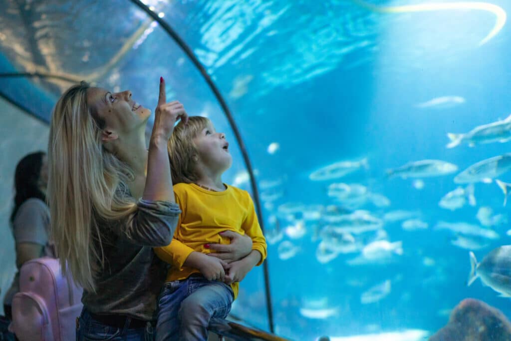 How to Draw a Spider in 7 Easy Steps