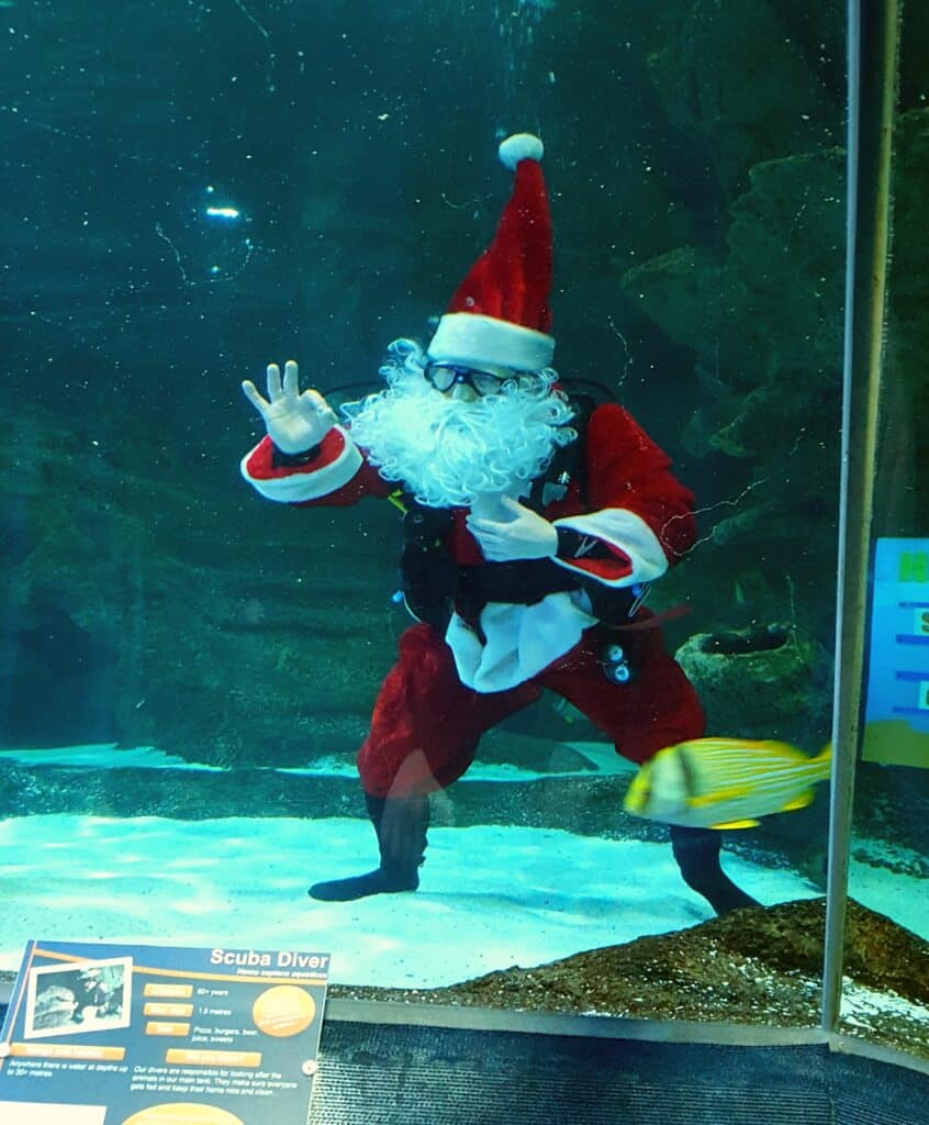 Christmas Under the Sea