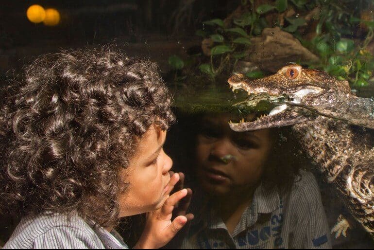 Blue Planet Aquarium – Coronavirus statement for visitors