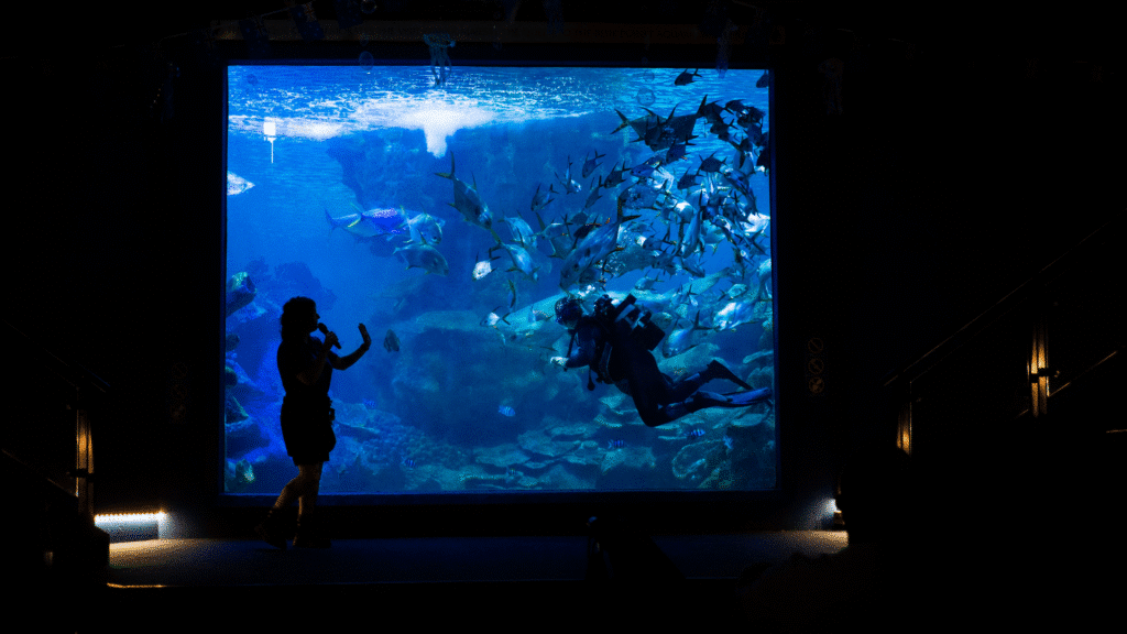 Ocean Colouring Pages for Kids